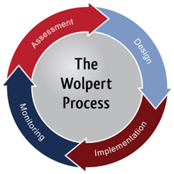 Wolpert process image